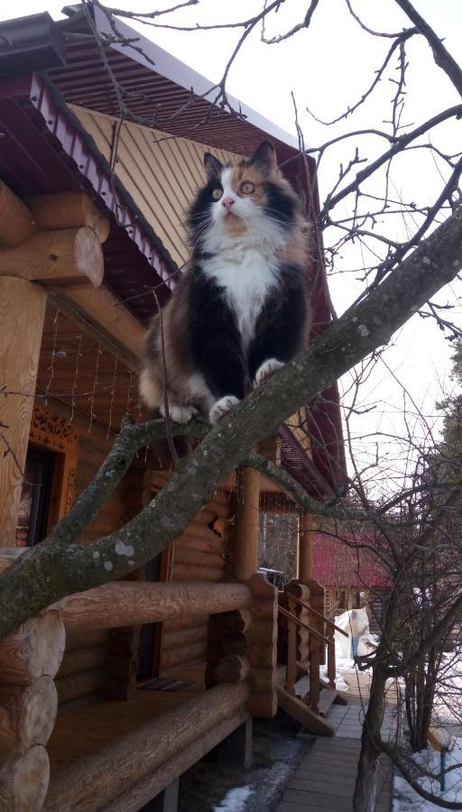 Отель Agrousad'Ba Okolitsa Shchibri Экстерьер фото